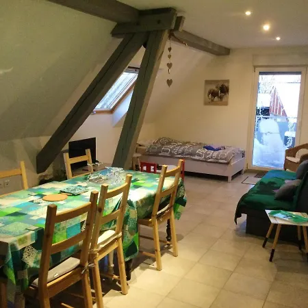 A + 60 M² + Terrasse Et Jardin * Lohr