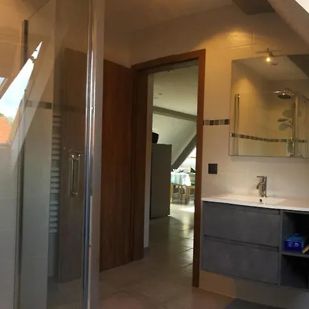 A + 60 M² + Terrasse Et Jardin Lohr