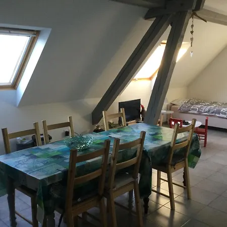 公寓 A + 60 M² + Terrasse Et Jardin Lohr