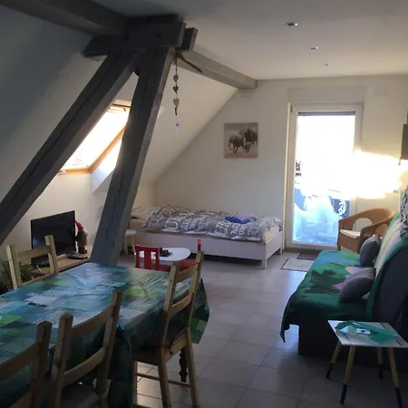 A + 60 M² + Terrasse Et Jardin Lohr