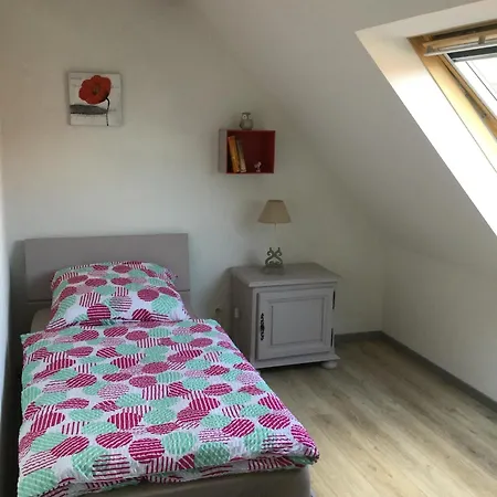 Apartament A + 60 M² + Terrasse Et Jardin Lohr