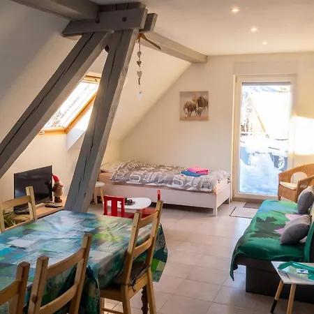Apartment A + 60 M² + Terrasse Et Jardin *