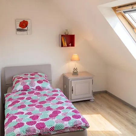 公寓 A + 60 M² + Terrasse Et Jardin Lohr